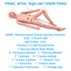 AMITD 170 cm Male Multifunctional Nursing Manikin with Interchangeable Genitals, Clothing, Pressure Sore and Trauma Modules, and Storage Bag view 4