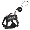 Adjustable Anti-Escape Cat Harness with Soft Mesh and Reflective Strip view 1