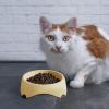 Tilted Anti-Vomiting Cat Bowl Set view 4