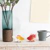 Decorative Goldfish for Aquariums view 2