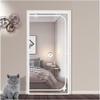 Reinforced Pet Screen Door with Zipper, 85 x 200 cm view 2