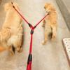 1.4 m Double Leash for Pets, 2-Way Coupler, Elastic Extension view 4