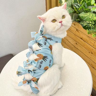 Adjustable Cat Recovery Suit