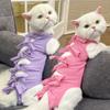 Adjustable Cat Recovery Suit view 2