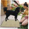 Abaodam 2-Piece Reusable Training Mats for Dogs and Cats, Green view 4