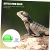 GRIRIW Reptile Feeding Bowl with Suction Cup view 4