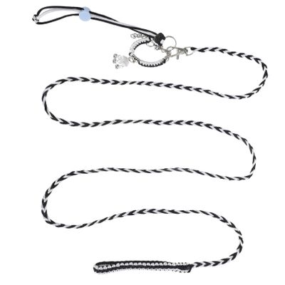 INOOMP Squirrel Harness and Leash Set