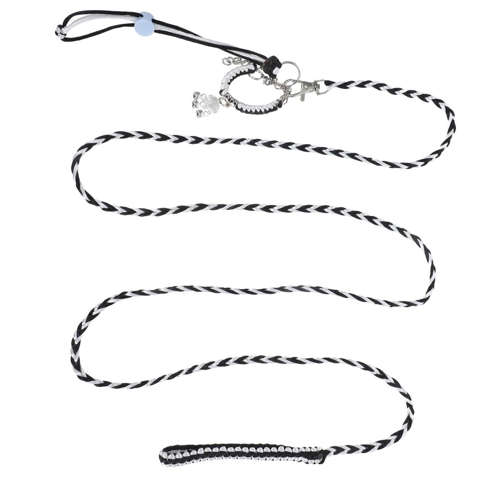 INOOMP Squirrel Harness and Leash Set