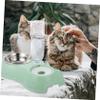 Toyvian Automatic Pet Feeder with Dual Bowl and Water Dispenser view 3