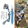 REXVTNS Spring Pole Dog Toy with 2 Cotton Ropes view 2