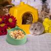 Small Animal Bowl for Hamsters view 3
