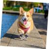 BAZEITFLOW 4-Pack Dog Shoes view 3