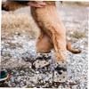 BAZEITFLOW 4-Pack Dog Shoes view 4
