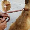 NVOQILIN Durable Dog Leash for Large and Medium Dogs view 3