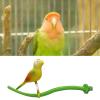 Bird Perch with Chewing Feature view 3