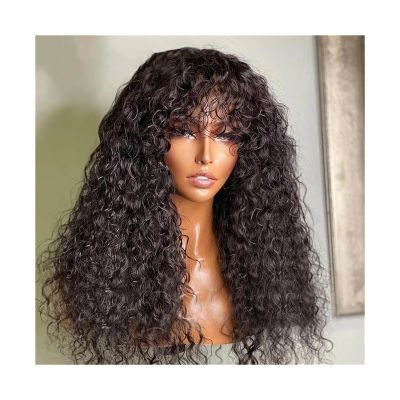 HYEFDWS Kinky Curly Human Hair Wig with Bangs, 35.6–101.6 cm