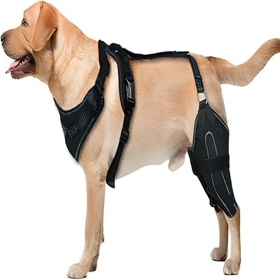 MASKIS Dog Rear Leg Brace for Luxating Patella and Torn ACL