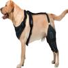 MASKIS Dog Rear Leg Brace for Luxating Patella and Torn ACL view 1