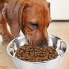 Stainless Steel Pet Bowl - Round Dog Bowl view 2