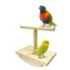Interactive Wooden Bird Swing Perch view 1
