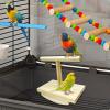Interactive Wooden Bird Swing Perch view 3