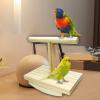 Interactive Wooden Bird Swing Perch view 4
