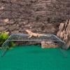 Leopard Gecko Hammock | Stainless Steel Mesh Climbing Hammock view 3