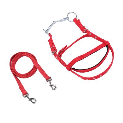 Alomejor Adjustable Horse Reins with Stylish Design (L, 330 x 184 mm / 12.99 x 7.24 in)