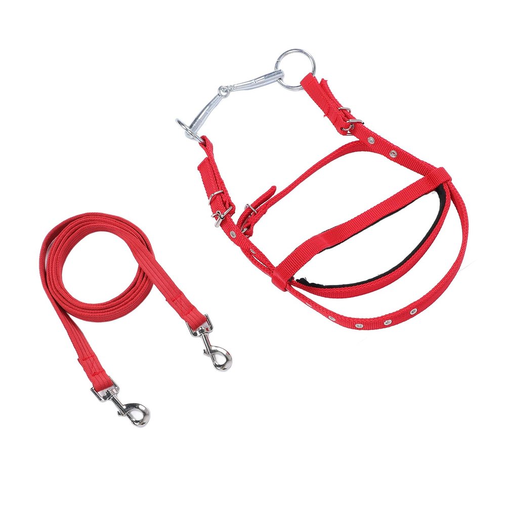 Alomejor Adjustable Horse Reins with Stylish Design (L, 330 x 184 mm / 12.99 x 7.24 in)