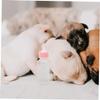 POPETPOP 2-Pack Silicone Pet Milk Bottles 50ml with Nipple for Puppies, Kittens, and Small Animals view 4