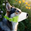 Waterproof Dog Muzzle for Large Dogs view 3