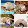 3-Piece Creative Hamster Hideout Set view 3