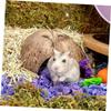 3-Piece Creative Hamster Hideout Set view 4