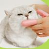 3Dog Finger Toothbrush for Dogs view 2