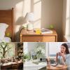 Wooden Diffuser with Holder Function view 4
