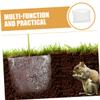 ibasenice 6-Piece Stainless Steel Root Protection Nets for Garden Plants view 3