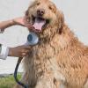 Adjustable, Portable, Lightweight Dog Shower Head view 4