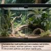 Snake Climbing Toy view 2