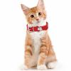 Pet Collar for Small Pets view 4