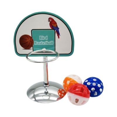 Basketball Bird Toy