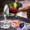 Basketball Bird Toy view 3