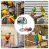 Basketball Bird Toy view 4