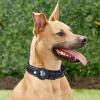 Dog AirTag Tracking Cover for Positioning and Training Collar, Nylon Pet Collar (B, L) view 3
