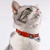 Medium Dog Collar, Thanksgiving Cat/Dog Collar with Bell, 5-Pack, Breakaway, Soft, Adjustable, for Christmas (Red, One Size) view 3