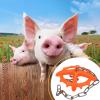 Livestock Chew Toy, Heavy-Duty Livestock Chain view 2