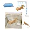 Bearded Dragon Electric Shower Set with 360-Degree Rotating Showerhead view 4