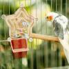 Rotating Bird Spinner Toy for Parrots view 2