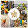 Rotating Bird Spinner Toy for Parrots view 4