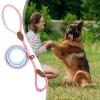 No-Pull Training Dog Leash view 3