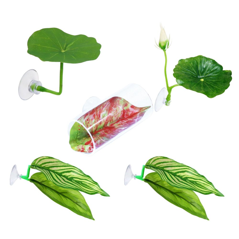 Betta Fish Leaf Pad - 5 Pack